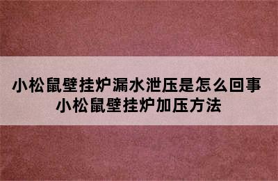 小松鼠壁挂炉漏水泄压是怎么回事 小松鼠壁挂炉加压方法